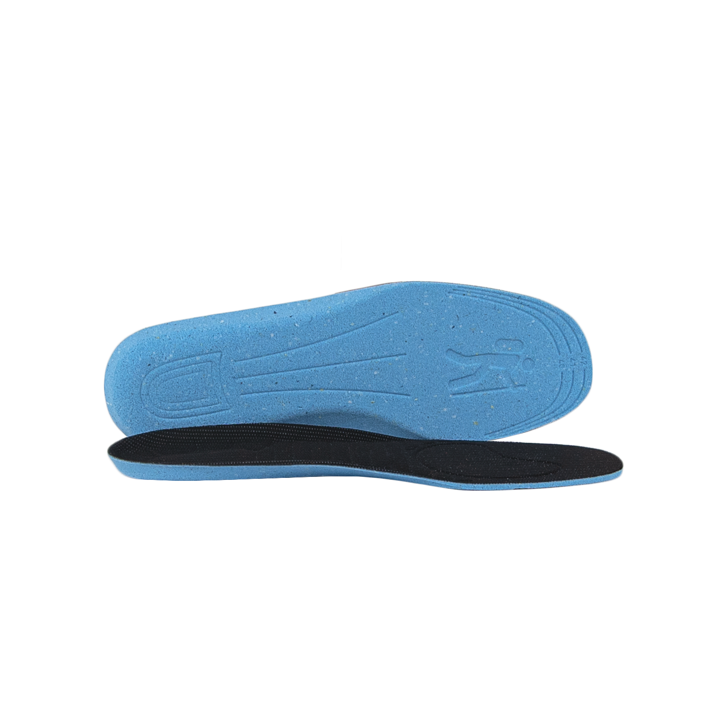 COCCINE basic BASIC SPORT do wycinania/36-39